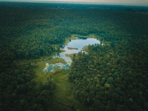 Pench-0176.jpg